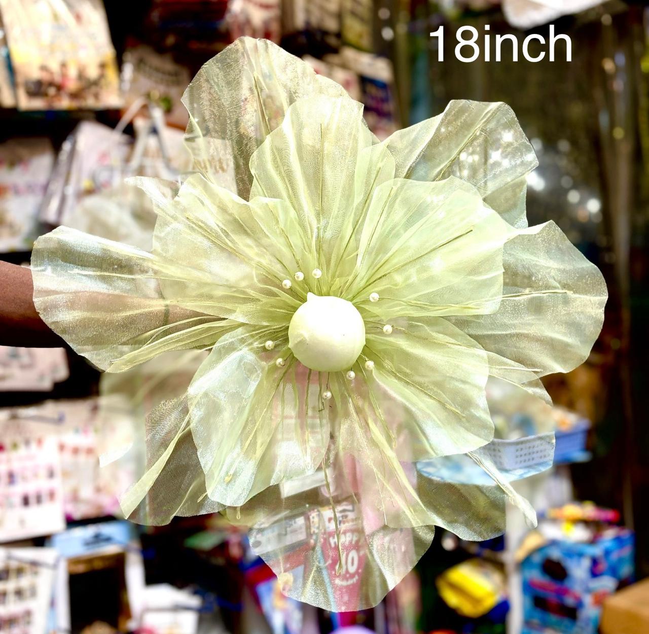 WhatsApp Image 2024-09-04 at 14.42.08_f09d5970